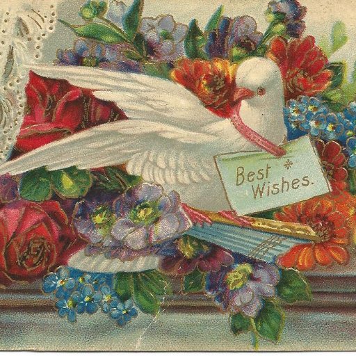 Vintage 20th century postcards, books, dolls, jewelry, home goods, photographs and more. Stories rooted in biography and saltwater.