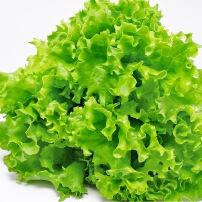 Twitch - Lettuce_Grower