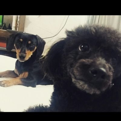 sandri_acosta94's profile picture. 