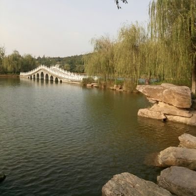 xiaxia201708's profile picture. 不自由毋宁死！