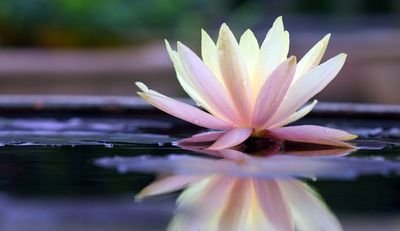 Sylvie_Kgl's profile picture. 