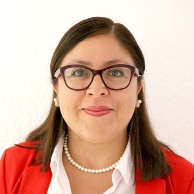 Investigadora del Instituto de Investigaciones Sociales de la UNAM. Doctora en Políticas Públicas por el CIDE.