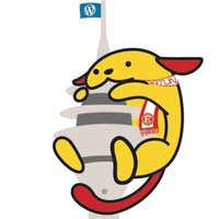 WPDUS (@wp_dus) 's Twitter Profile Photo