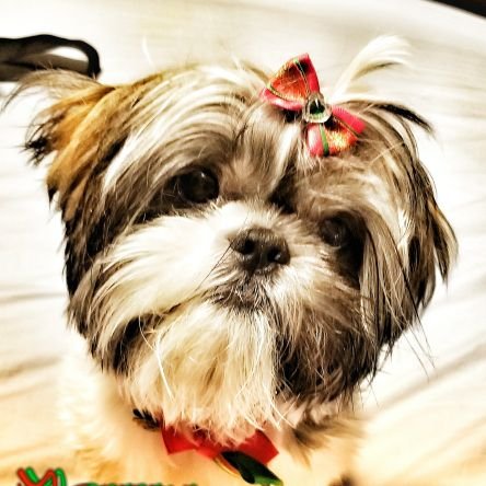 AmayiahColby's profile picture. 