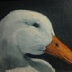 Quackers48 Profile Picture