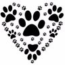 reddpups's profile picture. Proud to say I'm From The BRONX!  Dog Foster Mama.  WeRTheirVoice