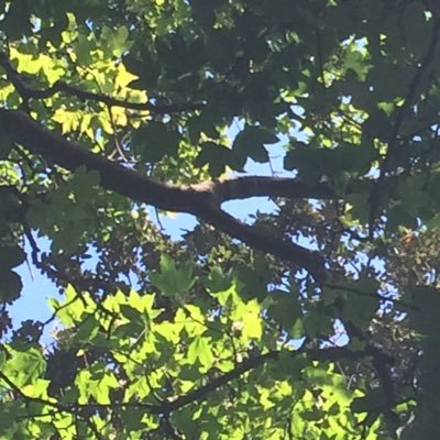 seasideluving's profile picture. 