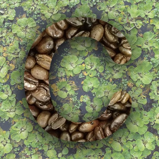 coreyjfoodie's profile picture. Impulsively drinking mochas for as long as I can remember