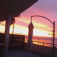 Emilystellaemi2 (@emilystellaemi2) 's Twitter Profile