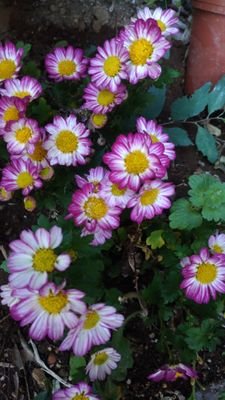 5q3AWKeyZ2Iot60's profile picture. 