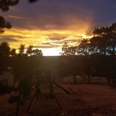 Matthew39814195's profile picture. excavator, firearm and fishing lover. Small buisness owner.
#maga
#LiberalismIsAMentalDisord