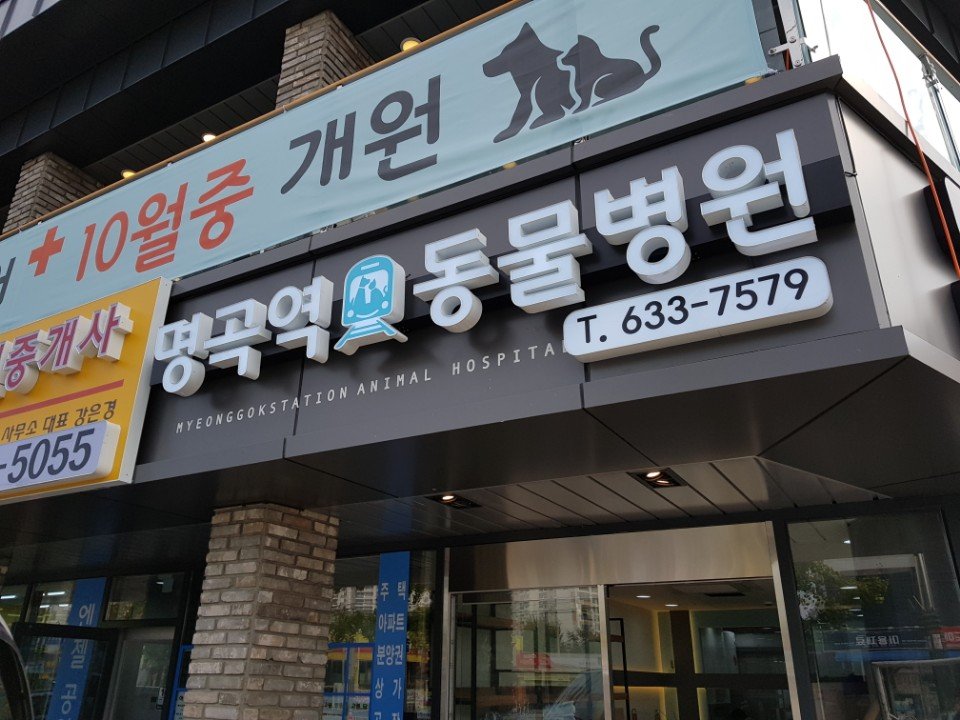 Daegu /  DVM / Korean Tradional Animal Medicine / Acupunture Herbal medicine / Please following / Mento is Chondoc(박경철)/ 명곡역동물병원장/야생동물 특수동물 치료