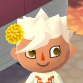 かめ子さんのプロフィール画像