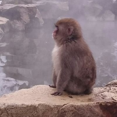 奈良に関する投稿は休み中。
2021年1月:大細胞肺がん・転移性脳腫瘍判明。
3月:脳の放射線治療。肺がん摘出手術。
5月:抗がん剤治療開始。治療継続中。脳腫瘍の影響で視野左側が半分欠けています。
2023年11月:脳動脈瘤拡大判明
2024年2月:脳動脈瘤コイル手術、同6月脳梗塞入院
無言フォローお許しください。