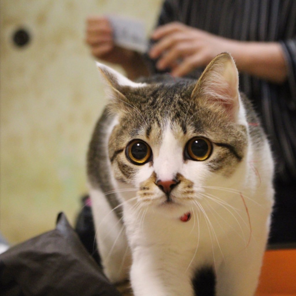 kIj8tKKFXIM9Kvp's profile picture. 1999