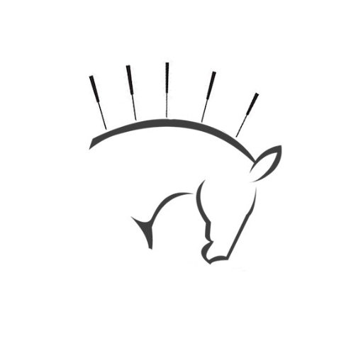 Equine Acupuncture