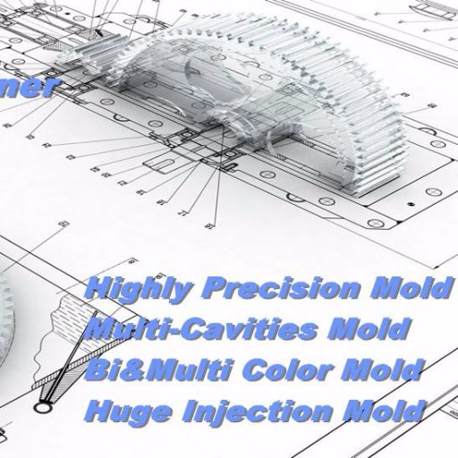 Professional Precision Injection Mold Manufacturer from China,contact me by dennylee@du-well.com if any need..