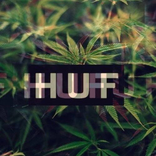 TarToX_'s profile picture. 