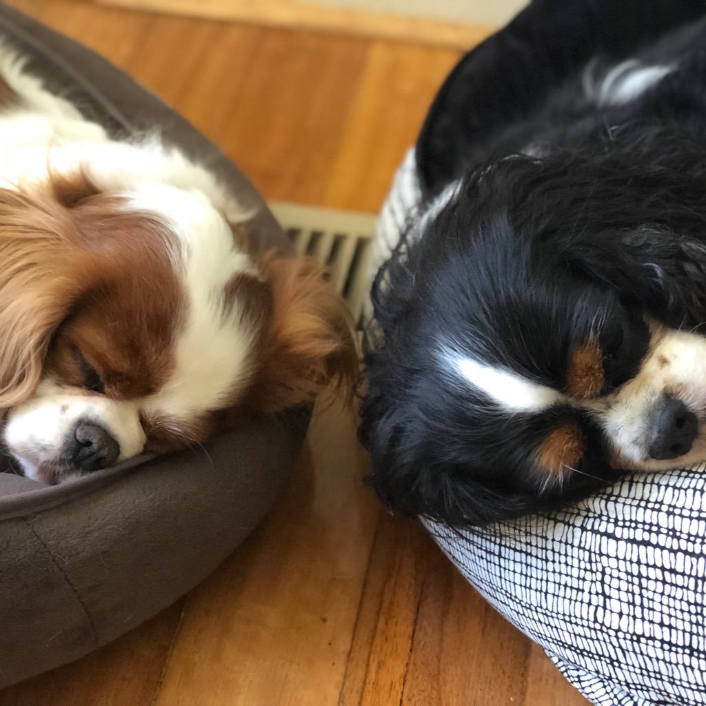 MrAdrianBrowne's profile picture. 