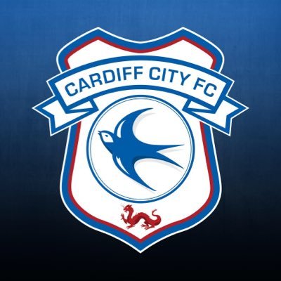 Cardiff City Academy (@CF11Academy) / Twitter