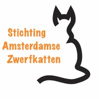 SAZ - Stichting Amsterdamse Zwerfkatten(@SAZ_katten) 's Twitter Profile Photo