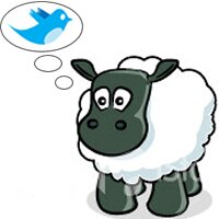 Three Of Flock (@threeofflock) 's Twitter Profile