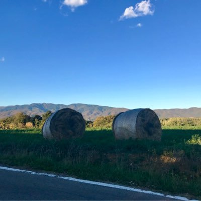 TheRightview319's profile picture. The respectful counter argument account.