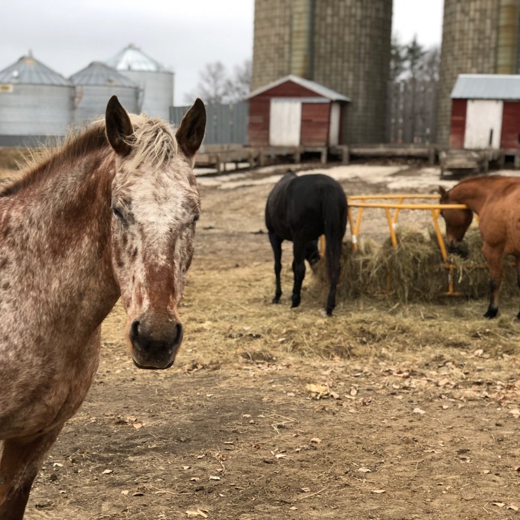 Cooz2BFree's profile picture. Guns, liberty, MMA, Military mother. ANTI: Politically Correct, Ignorance by choice, LIBERALS & tweeters who waste time with incessant spell check & appv. Peeve