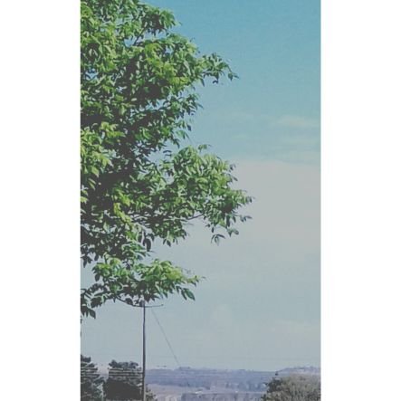 WendeighMaddy's profile picture. Content