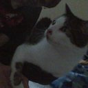 AJ Hunt - @SpikeyHairProd - Twitter