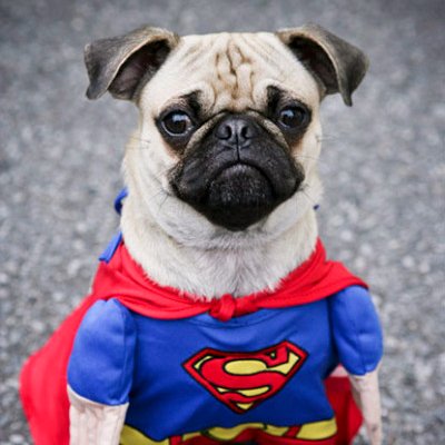 Reav3rs's profile picture. #Falcons #Niko