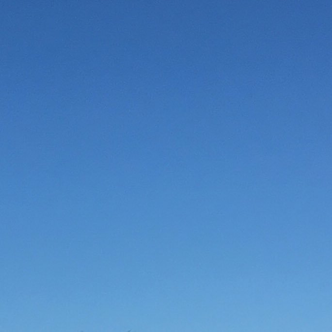 3JpUuDiHolbPlZl's profile picture. 