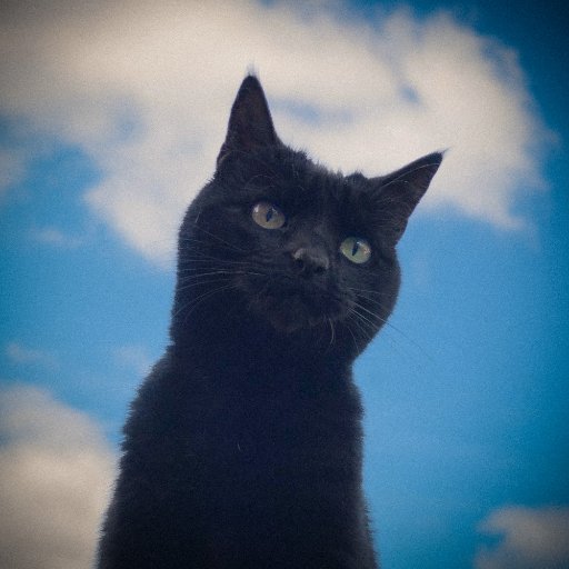 Chasing mice and exceptions in my APEX. Happy boy and proud ally. I sadly passed away in Sep 2019, but you can follow @salesforcecats instead!