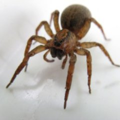 MBujniewicz's profile picture. 