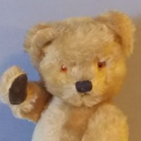 Adventure Bear(@4AdventureBear) 's Twitter Profile Photo