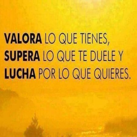 Jesùs en vos confio y espero😇💞
🎤🎶💞
