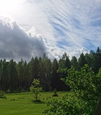 Ylikoulutettu metsurin raato 🌲
Tupajumien oikeudet ja elämäntyyliin kiinnostaa. Pimeässä heijastittomat henkilöt ärsyttää. Liian Hapannelda kaikkea kohtaan.