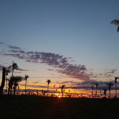 loliacostay's profile picture. 