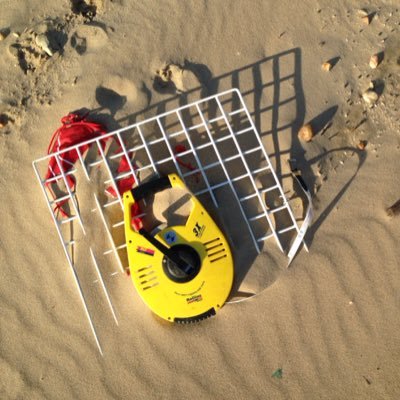 UnderTheBeach's profile picture. 