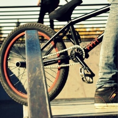 I am 13 I love bikes I will post every day and I wheelie 24/7