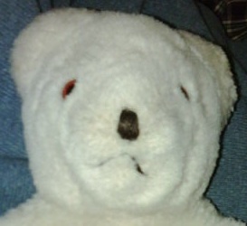 seeksneak's profile picture. bad bears have more fun