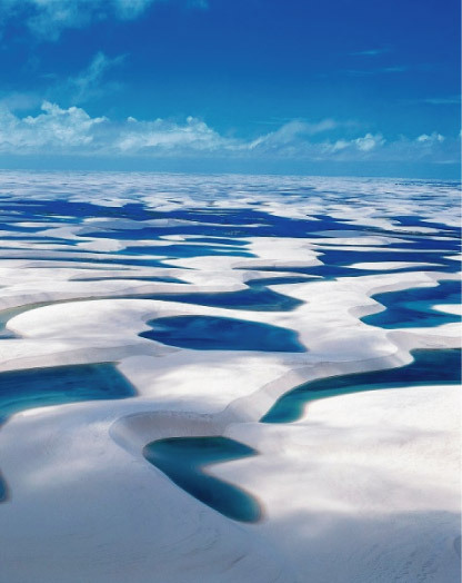 toeflbot's profile picture. 