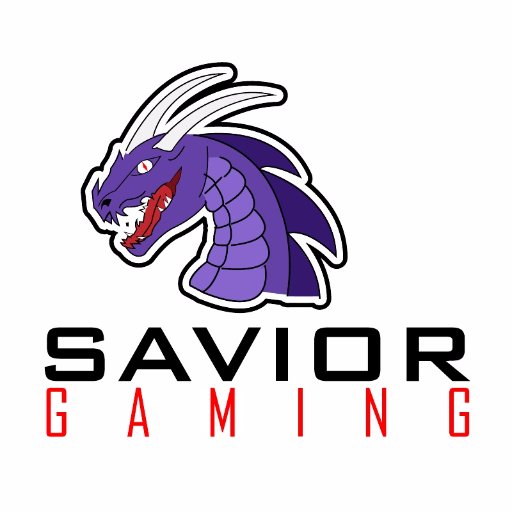 Savior_Gaming Profile Picture