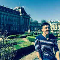 Amos Toh (@amostoh) 's Twitter Profile
