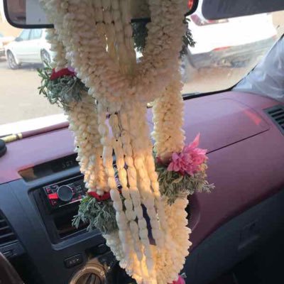 lY9esJQdPscp5LN's profile picture. 