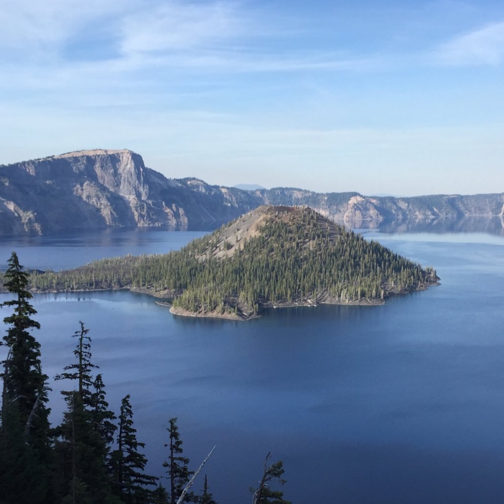 portlandic's profile picture. 