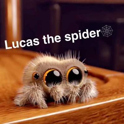 Lucas The Spider🕸🕷 Profile