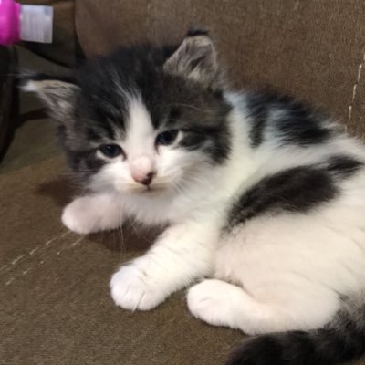 Sarahirios20's profile picture. 