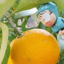 甘茄 (@11kanako03) Twitter