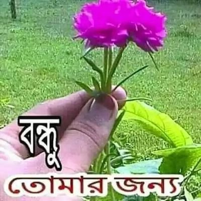 L96879273Is's profile picture. 